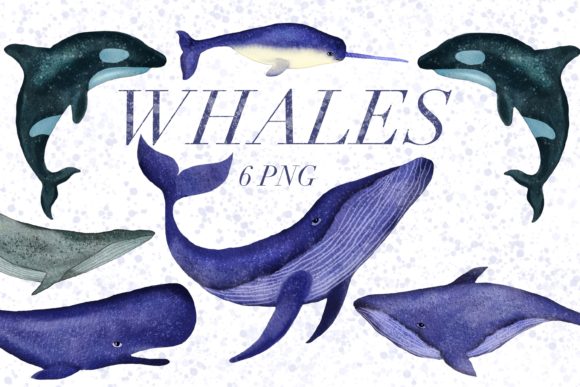 Download Watercolor Whale, Narwhal&nbsp; - Watercolor Collection