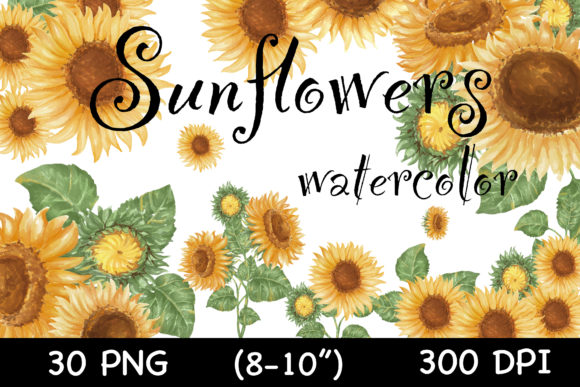 Download Watercolor Sunflowers, Vintage(clip Art) - Watercolor Collection