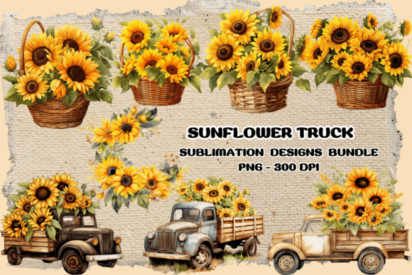 Download Sunflower Vintage Watercolor Clipart - Watercolor Collection