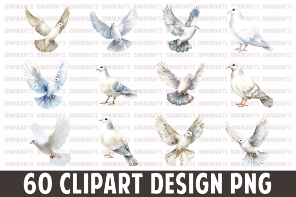 Download Dove Watercolor Clipart Bundle PNG - Watercolor Collection
